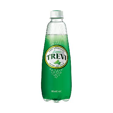 롯데)트레비라임P500ml